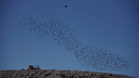 תוצאת תמונה עבור סיפורים נודדות