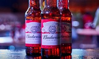 La cerveza Budweiser vuelve a Israel