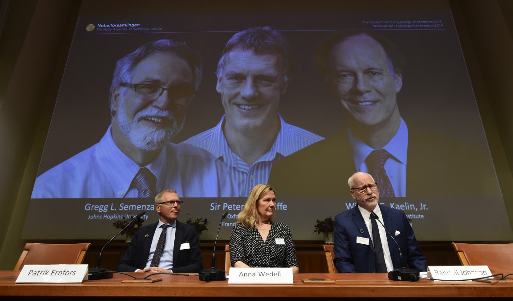 Nobel de Medicina para tres científicos que investigaron cómo se