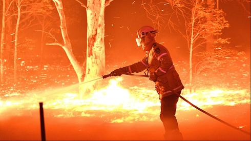 El fuego en Australia afectó a un área cuatro veces mayor que la superficie israelí 