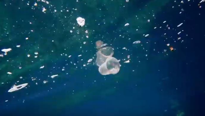 Partículas de plástico en el mar