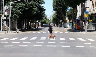 Paseo al perro en Tel Aviv