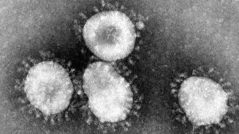 Coronavirus visto en un microscopio