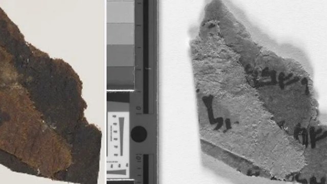 Comparación de los fragmentos de papiro a simple vista y bajo el microscopio. 