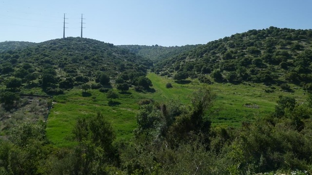 La zona en la que estará situada la reserva natural Guivat Alonim. 