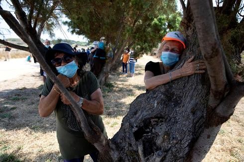 Las personas participan de la iniciativa de abrazar árboles en el Parque Nacional Apollonia, en Herzliya. 