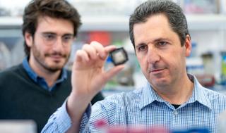 el profesor Yaakov Nahmias y un miembro del equipo de laboratorio en el Centro Grass para Bioingeniería de la Universidad Hebrea. 