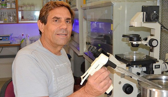 La tecnología de Betalin fue desarrollada por Eduardo Mitrani, de la Universidad de Jerusalem. ( Betalin) Eduardo.