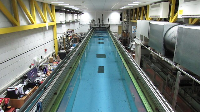 La piscina utilizada para el estudio en la Universidad de Tel Aviv. 