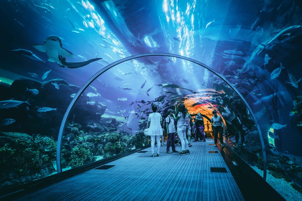 El acuario de Dubai. 