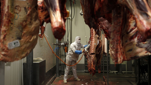 Polonia es considerado como uno de los mayores exportadores de carne del mundo.