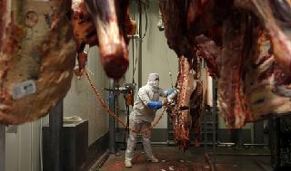 Polonia es considerado como uno de los mayores exportadores de carne del mundo.
