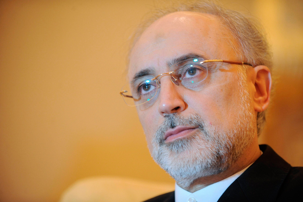 Ali Akbar Salehi, director de la Organización de Energía Atómica iraní y vicepresidente de Irán.