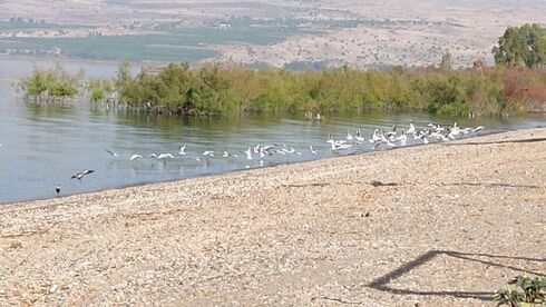 Mar de Galilea.