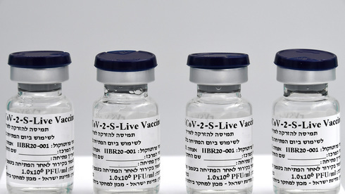 Frascos da vacina israelense contra COVID-19. 