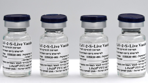 Ensayos para la vacuna israelí contra el COVID-19. 