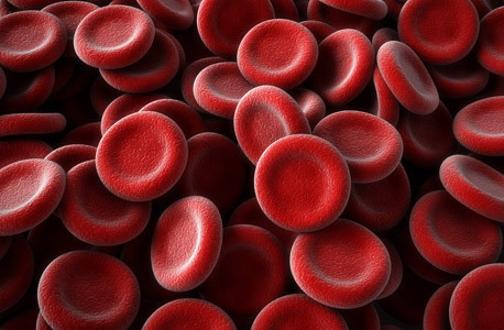 investigadores de la Universidad de Tel Aviv analizaron la sangre de los pacientes y encontraron resultados de antienvejecimiento después del experimento. (Shutterstock) investigadores de la Universidad de Tel Aviv analizaron la sangre de los pacientes y encontraron resultados de antienvejecimiento después del experimento.