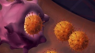 Células cancerígenas. 