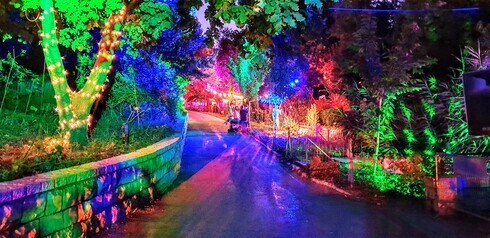 Evento de luces de invierno en el Jardín Botánico de Jerusalem. 