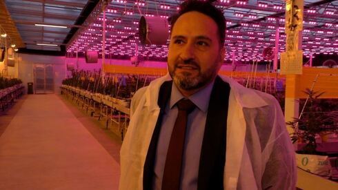 Yona Levy, presidente e cofundadora da Intelicanna. (The Media Line) cannabis