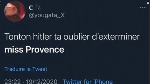"El tío Hitler se olvidó de exterminar a miss Provenza", escribió una persona en Twitter.