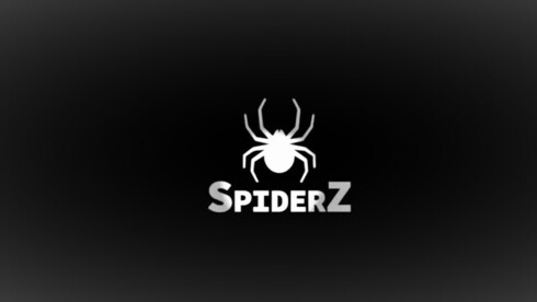 SpiderZ, el grupo de piratas informáticos que ingresó a los sistemas del banco de Hezbollah.