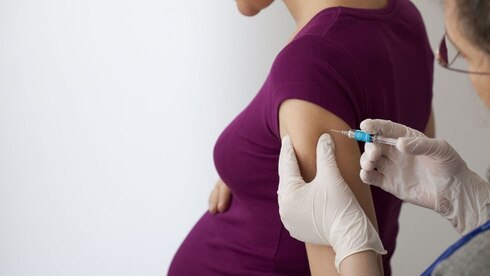 Estudios israelíes revelan que la vacuna contra el coronavirus es eficaz y segura para mujeres embarazadas. (Shutterstock) El Consejo Nacional de Ginecología y Fertilidad recomendó a mujeres embarazadas vacunarse contra el COVID-19.
