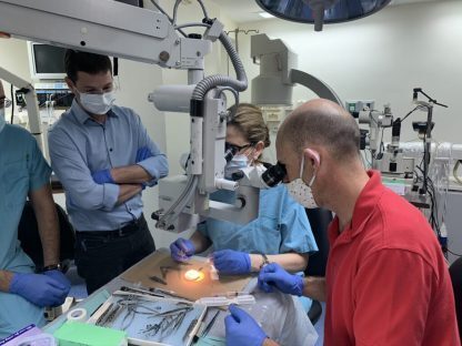 Implante de córnea artificial