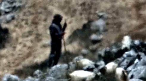 Cámaras de las FDI identificaron a un pastor que se infiltró desde Líbano hacia Israel. 