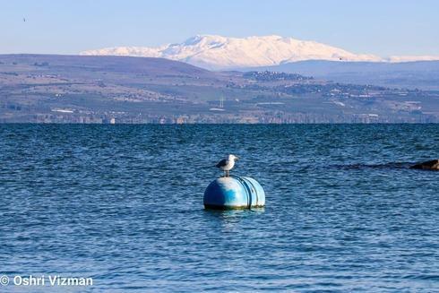 Mar de Galilea. 
