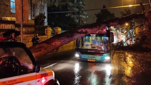 Los fuertes vientos derribaron un árbol que cayó sobre un autobús en Jerusalem sin producir heridos. 