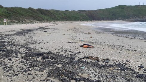 Playa Contaminada