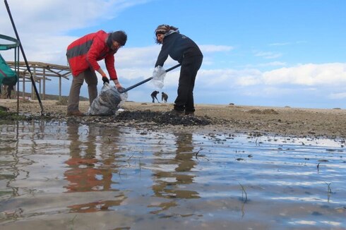 Trabajos de limpieza en una playa israelí tras el derrame de alquitrán. 