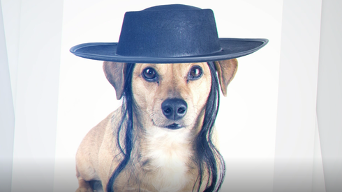 El video de Yahadut Hatorah que compara a los judíos conversos reformistas con perros generó fuertes críticas en Israel. (Captura de pantalla) El polémico video de Yahadut Hatorah recibió una lluvia de críticas en Israel.