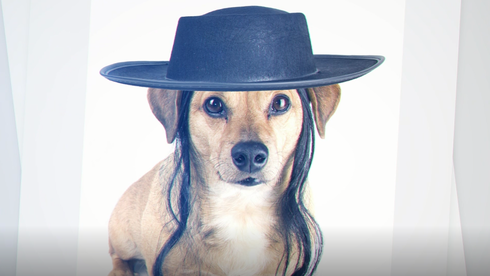 El video de Yahadut Hatorah que compara a los judíos conversos reformistas con perros generó fuertes críticas en Israel. 