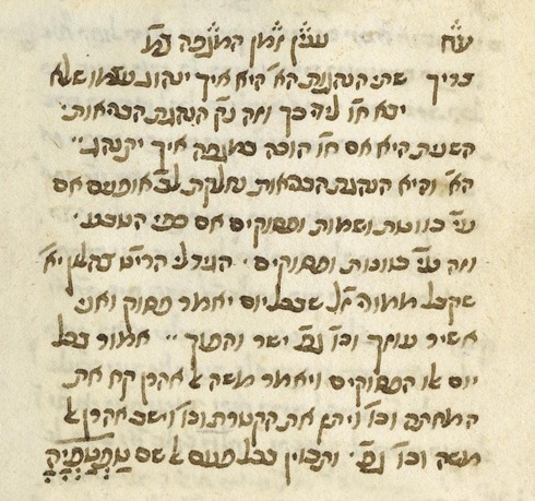 Captura del escrito del rabino Vital. 