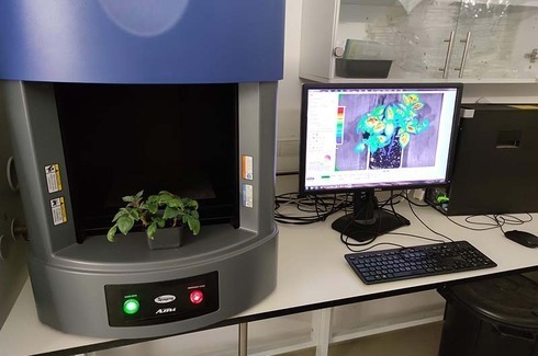 El biosensor de la Universidad Hebrea detecta los primeros signos de estrés en las plantas y previene las malas cosechas debido a los cambios climáticos. (Gentileza) El biosensor de la Universidad Hebrea detecta los primeros signos de estrés en las plantas y previene las malas cosechas debido a los cambios climáticos.