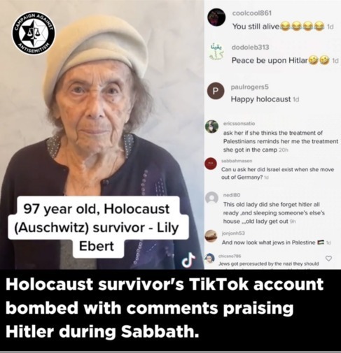 Una captura de pantalla que muestra algunos de los mensajes abusivos que Lily Ebert, sobreviviente del Holocausto, recibió en su página de TikTok.
