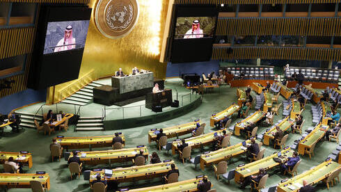 Asamblea General de las Naciones Unidas. 