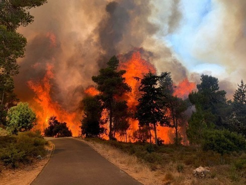 Decenas de dotaciones de bomberos y diez aviones hidrantes intentan contener las llamas.