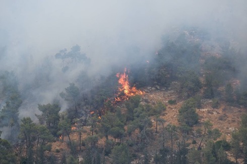 Incendios forestales cerca de Neve Ilan.