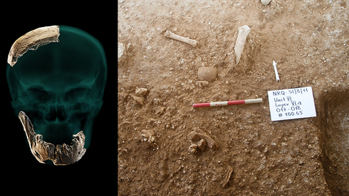Parte del cráneo y la mandíbula hallados, y el sitio de la excavación donde fueron encontrados los restos fósiles. 