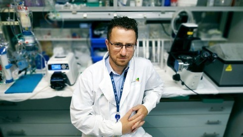 El estudio busca acabar con la escasez de órganos a nivel mundial. (Centro Médico Rabin) El estudio buscando acabar con la escasez de órganos a nivel mundial.
