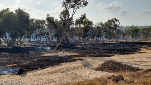 Campos ardiendo después del incendio causado por globos incendiarios cerca de la frontera de Gaza. 