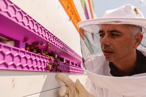 El director general de Beeswise, Saar Safra, observa una colmena robótica desarrollada por su empresa emergente en Beit Haemek.