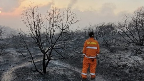 Daños causados ​​por el incendio forestal cerca de Jerusalem. 