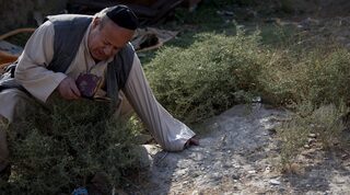 Zebulon Simantov visita la tumba de sus familiares en Kabul, Afganistán en 2009. 