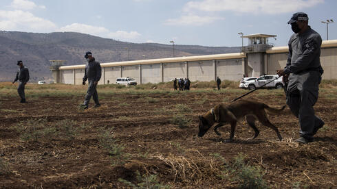 La policía inicia una persecución frente a la prisión de Gilboa. 
