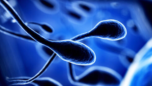 El congelamiento de espermatozoides debería ser una alternativa para hombres jóvenes. (Shutterstock) Ilustración