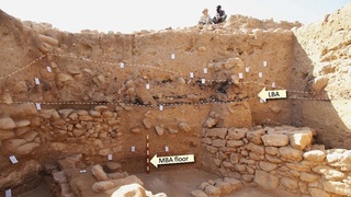 Sitio de excavación. 
